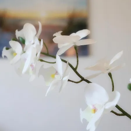 Apartamento 1 Bedroom Stunning In